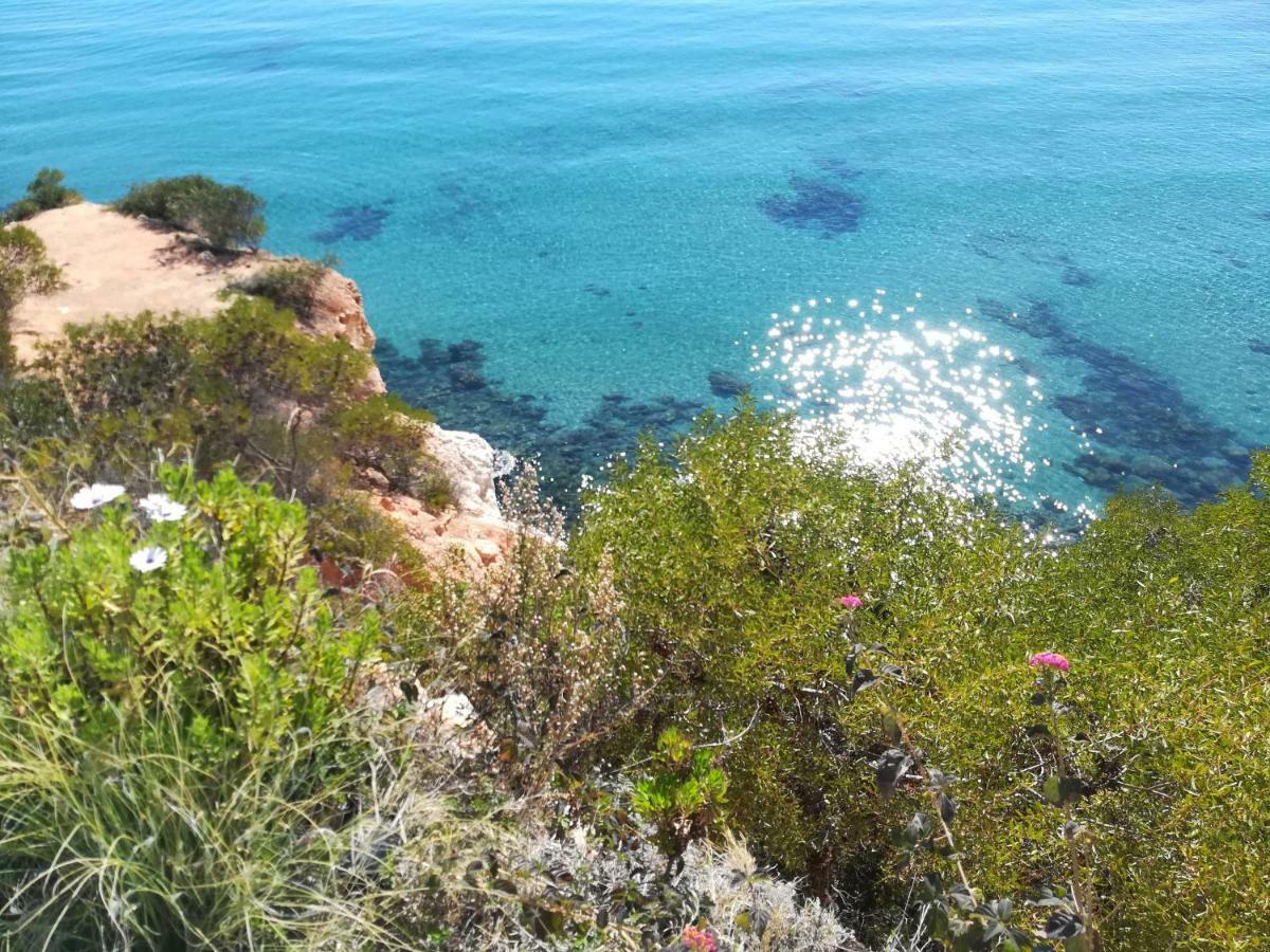 Cabo Roig Bellavista III Daire Dış mekan fotoğraf