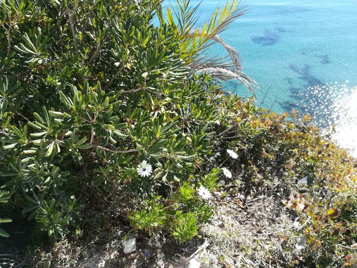 Cabo Roig Bellavista III Daire Dış mekan fotoğraf