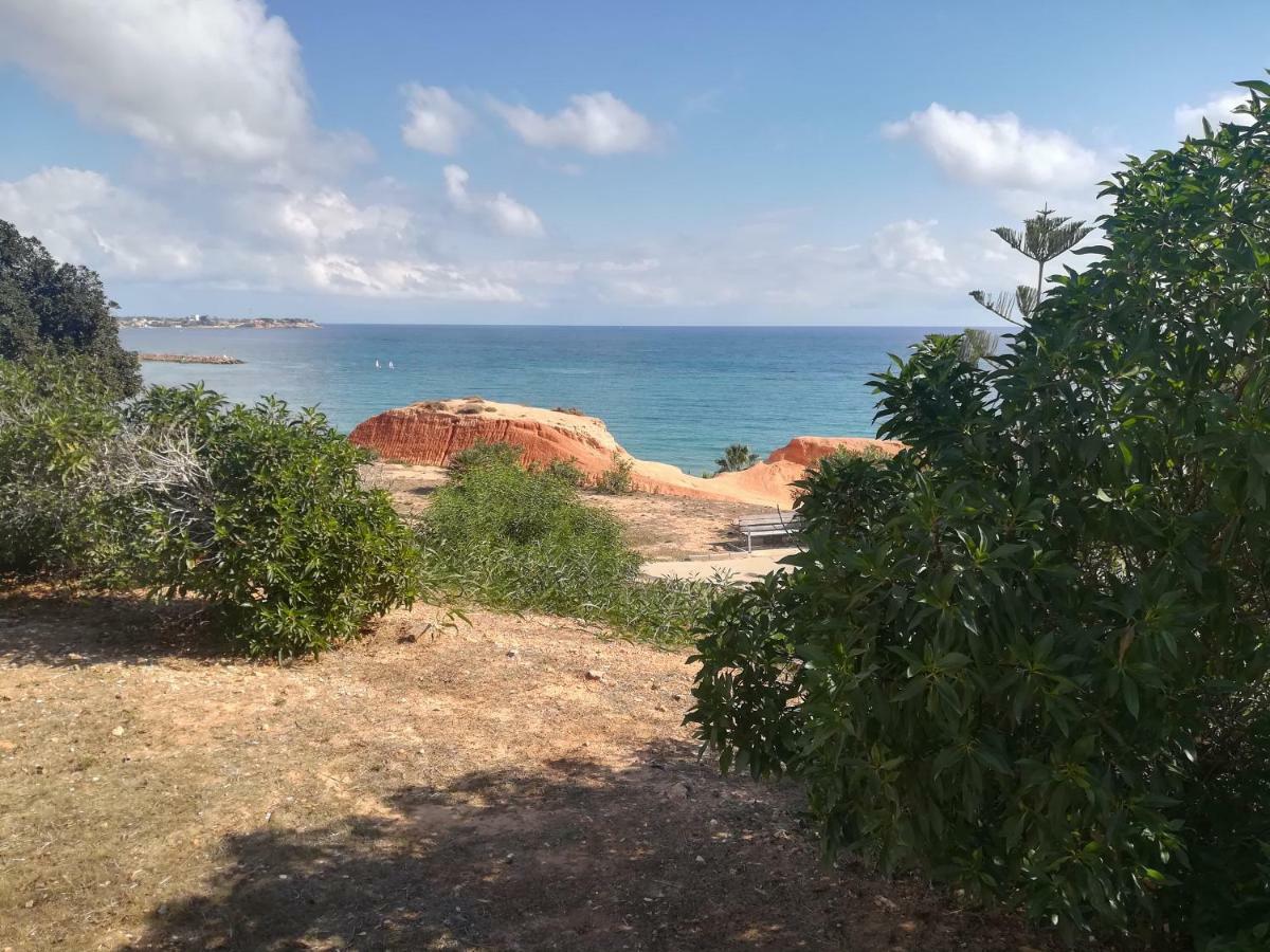 Cabo Roig Bellavista III Daire Dış mekan fotoğraf